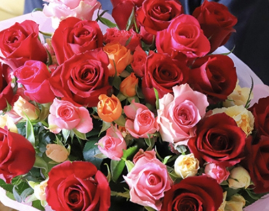 歓送迎会 | 送別会 | 懇親会